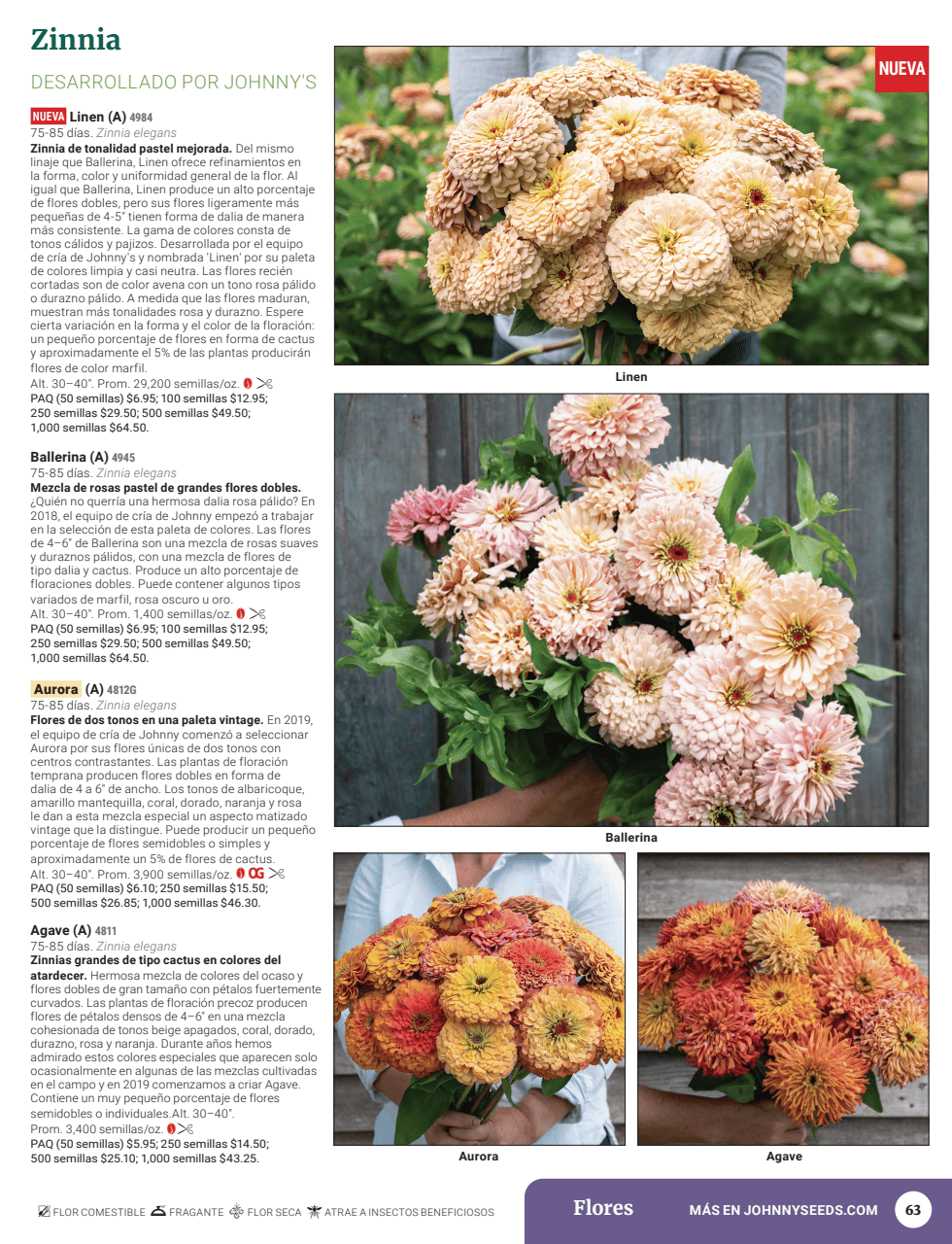 Flyer page 65
