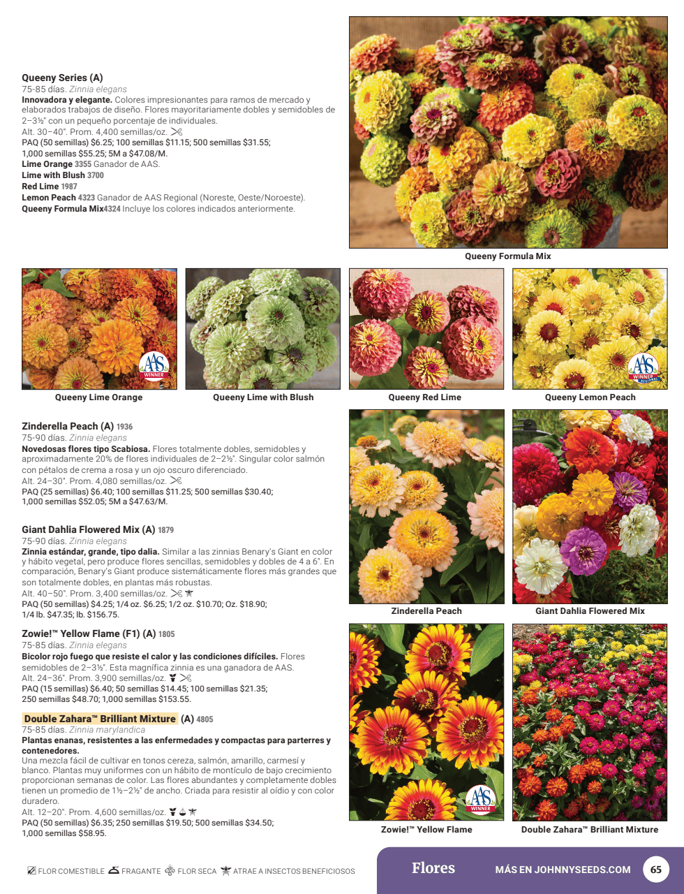 Flyer page 67