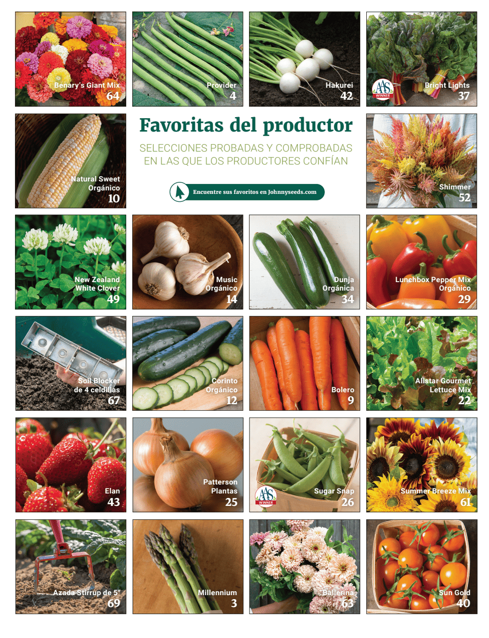 Flyer page 75