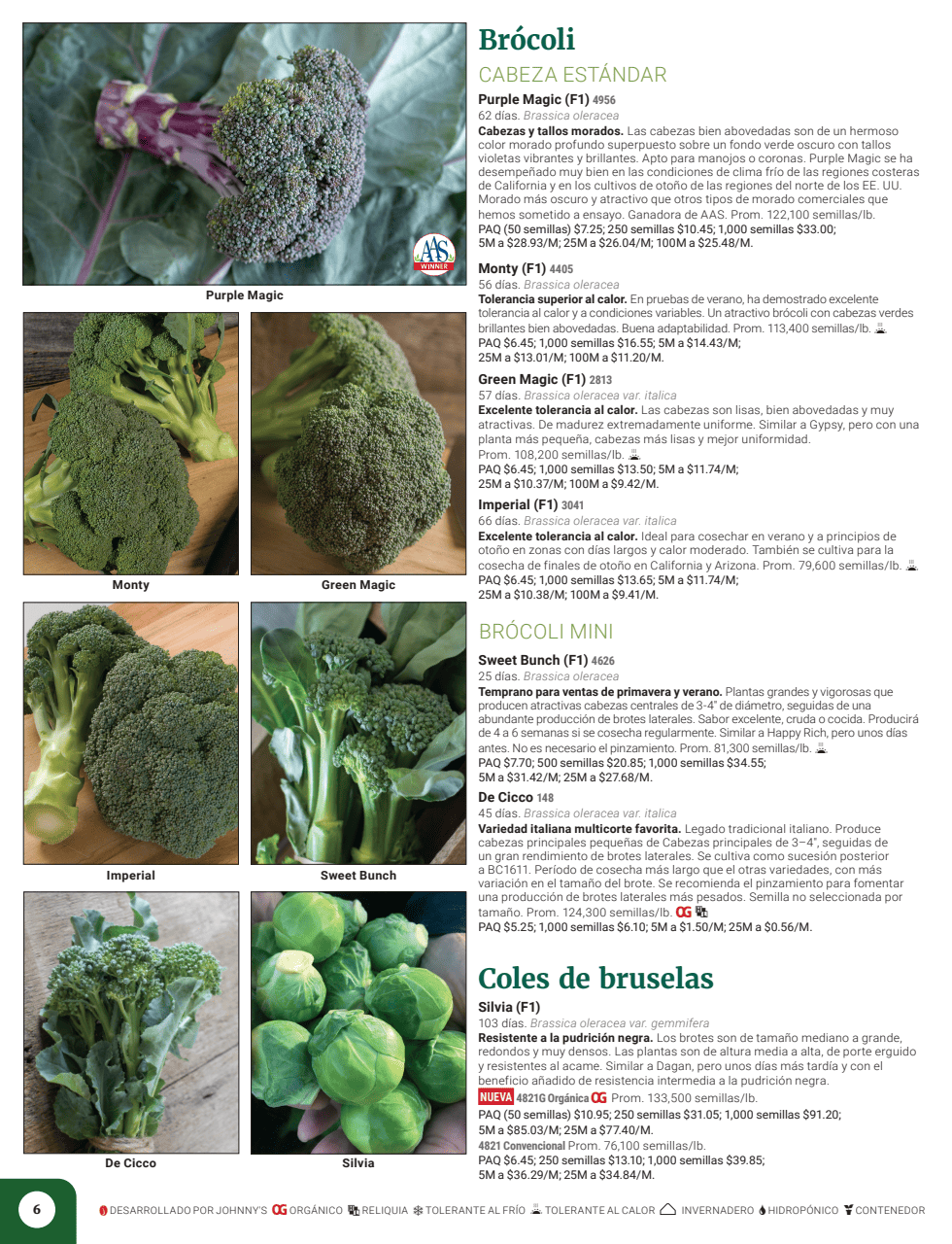Flyer page 8