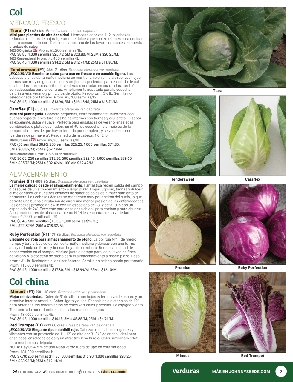 Flyer page 9