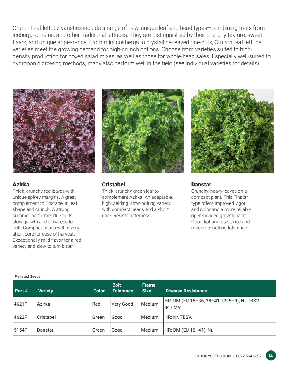 Flyer page 11