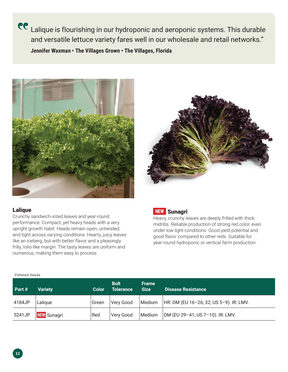Flyer page 12