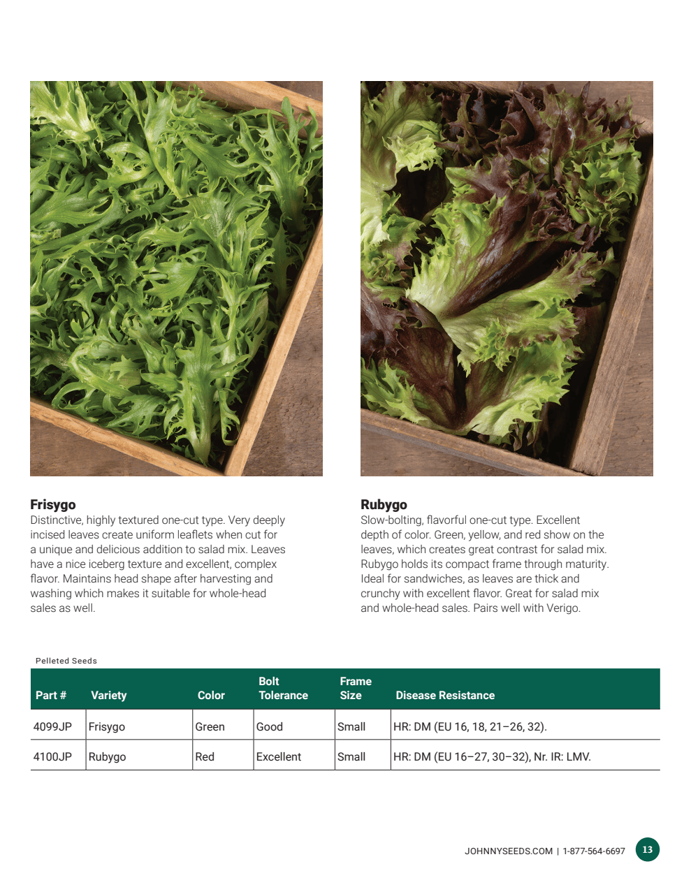 Flyer page 13