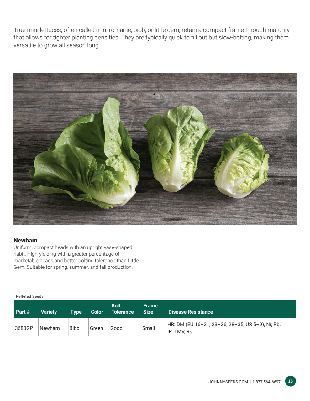 Flyer page 15