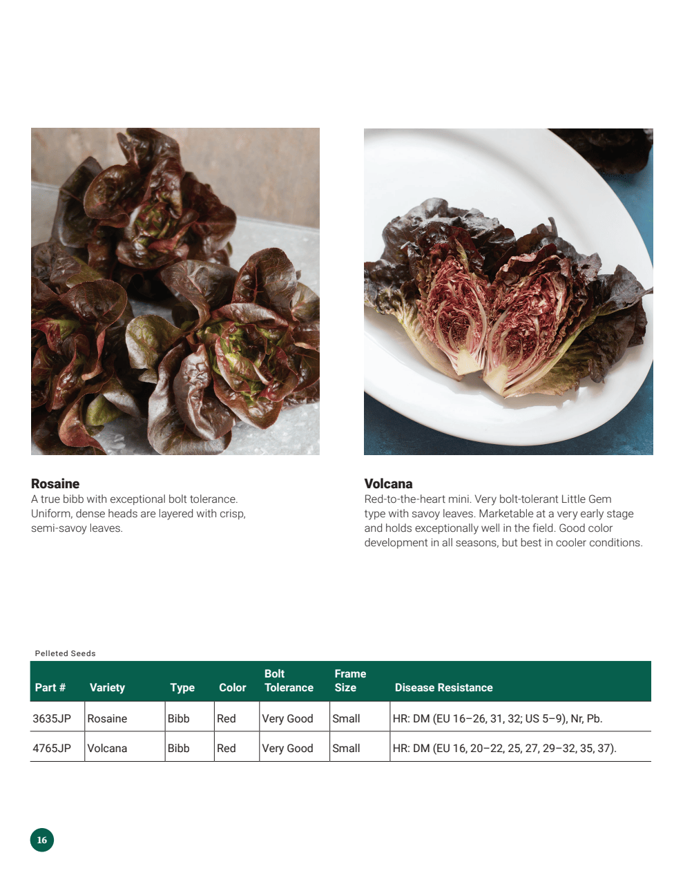Flyer page 16