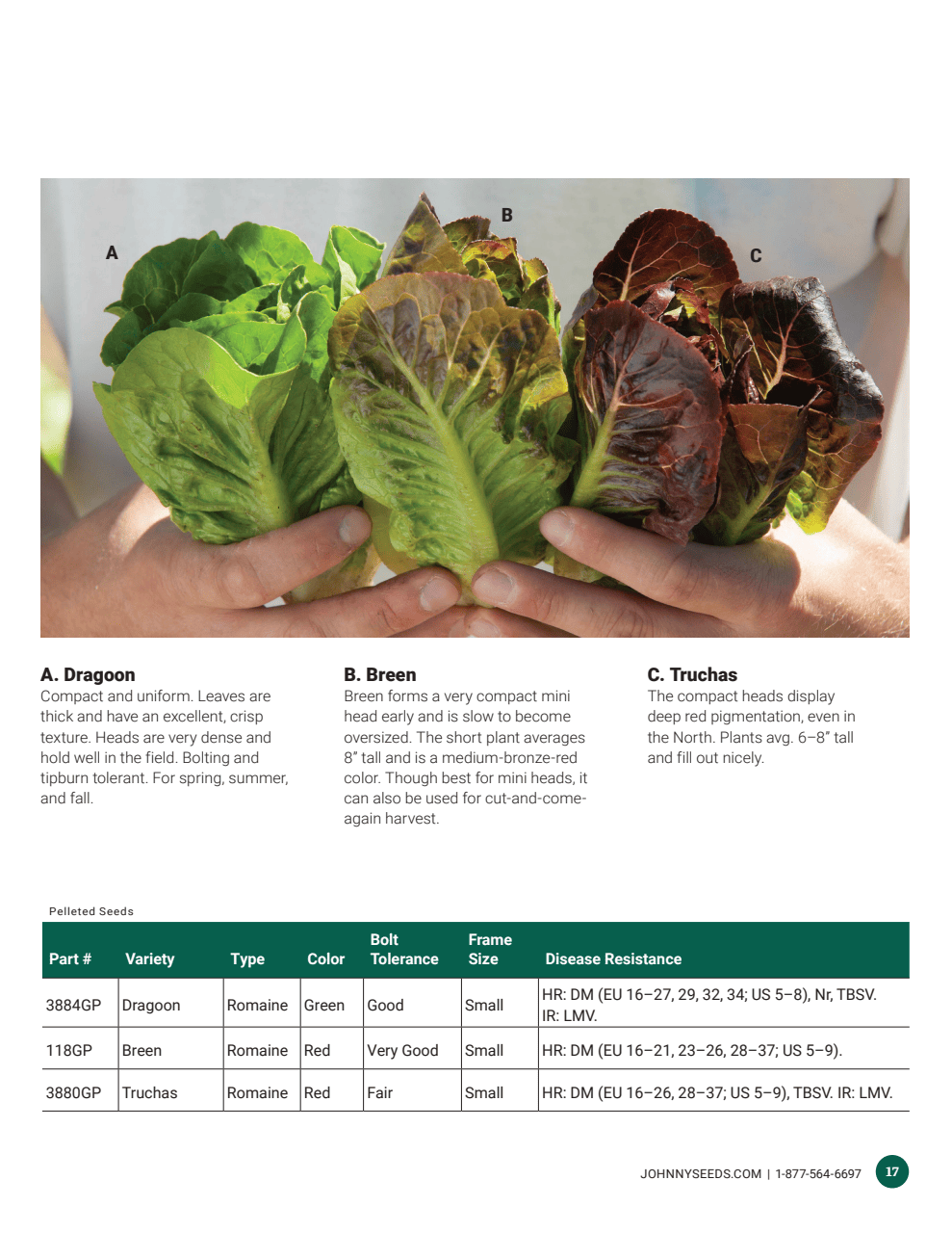 Flyer page 17