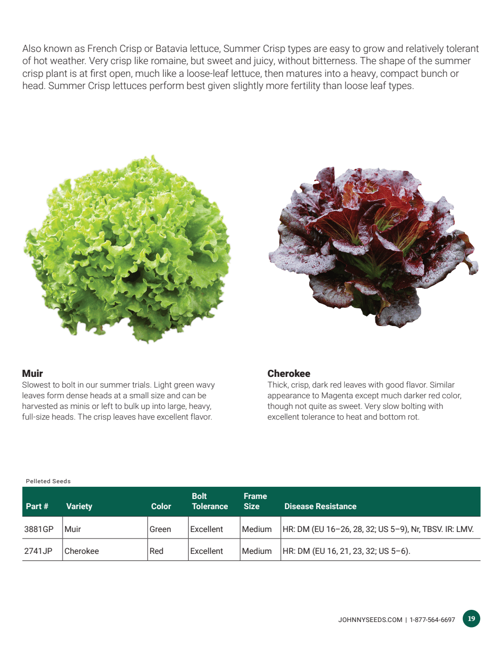 Flyer page 19