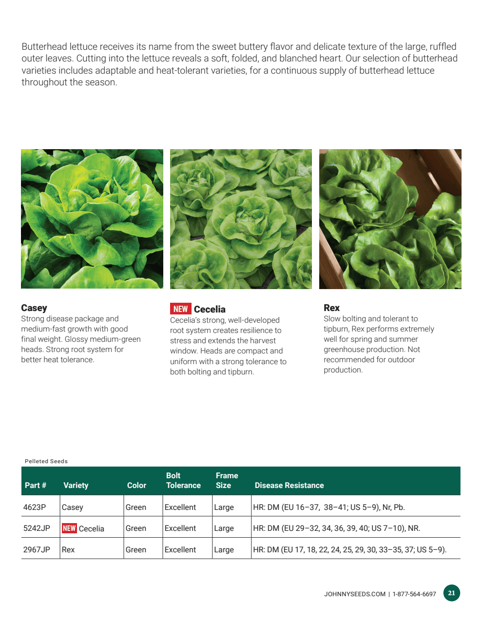 Flyer page 21