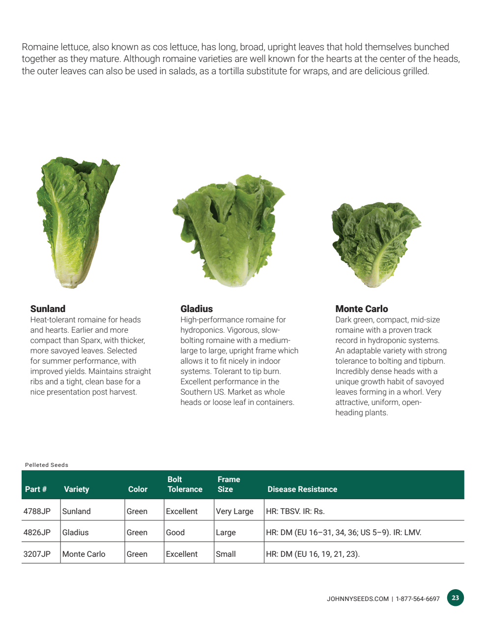 Flyer page 23