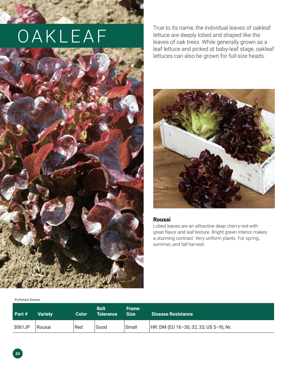 Flyer page 24