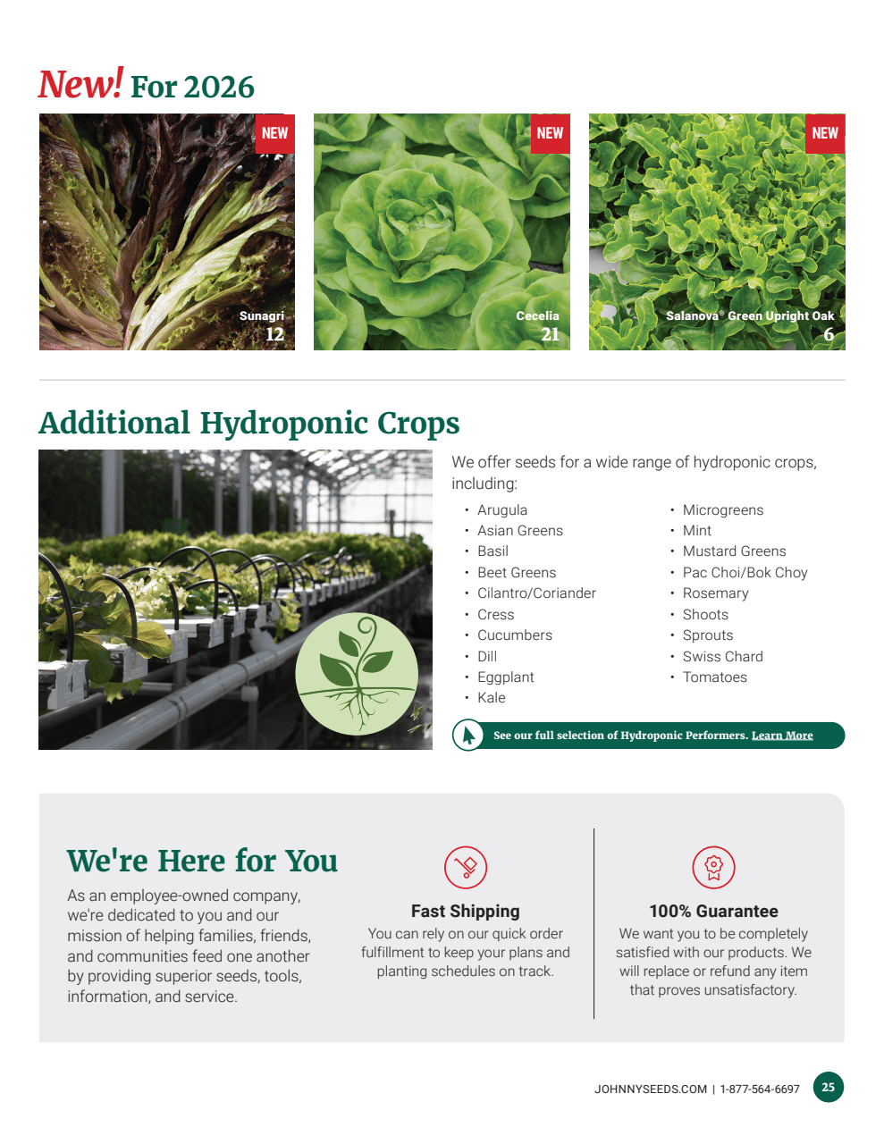 Flyer page 25