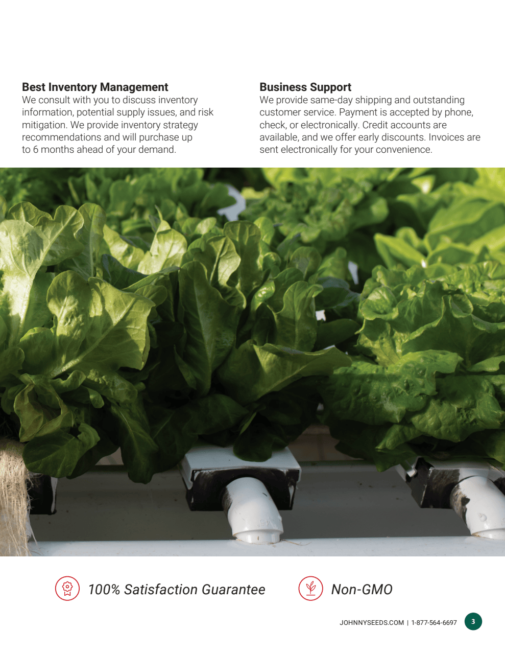 Flyer page 3