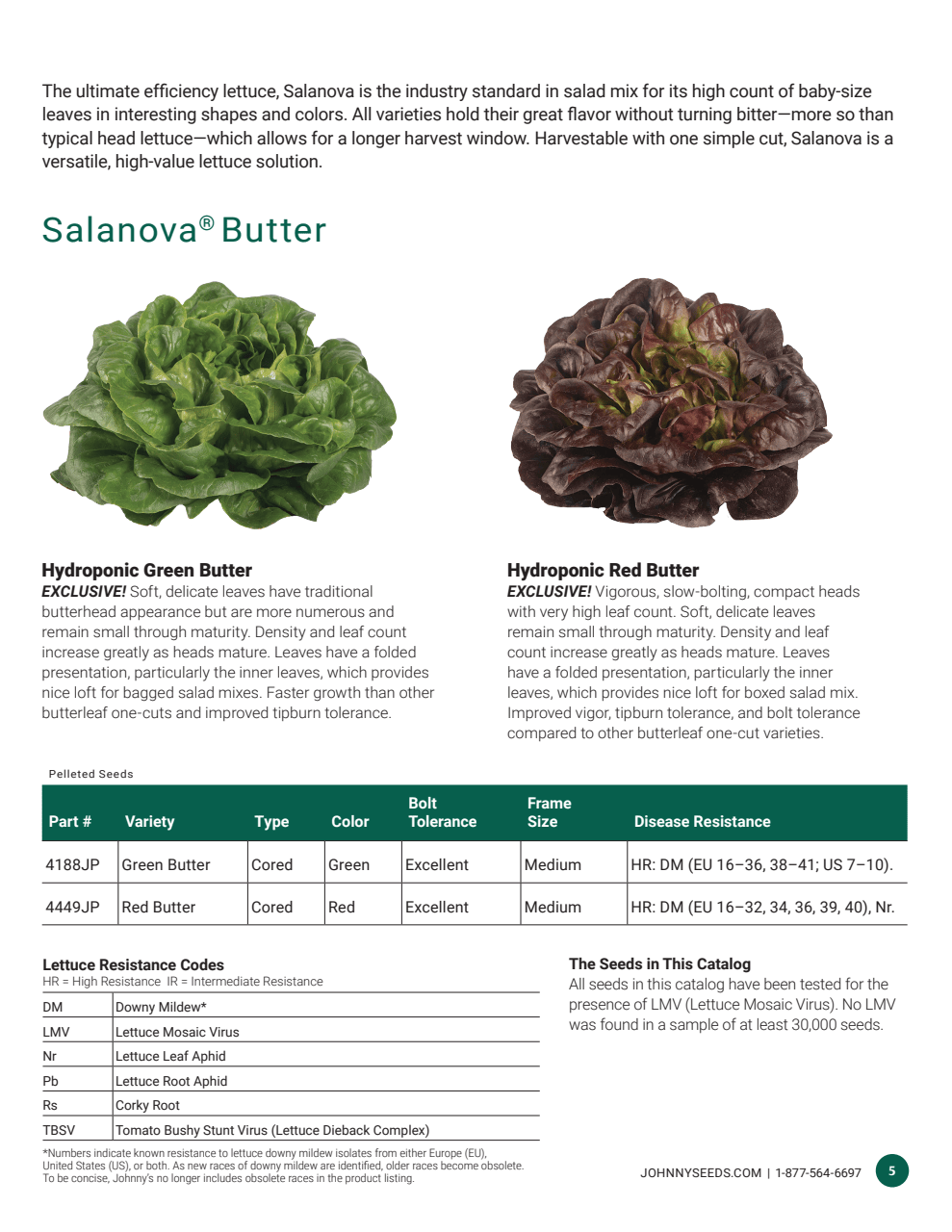 Flyer page 5
