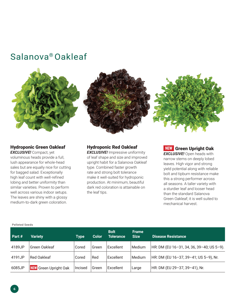Flyer page 6