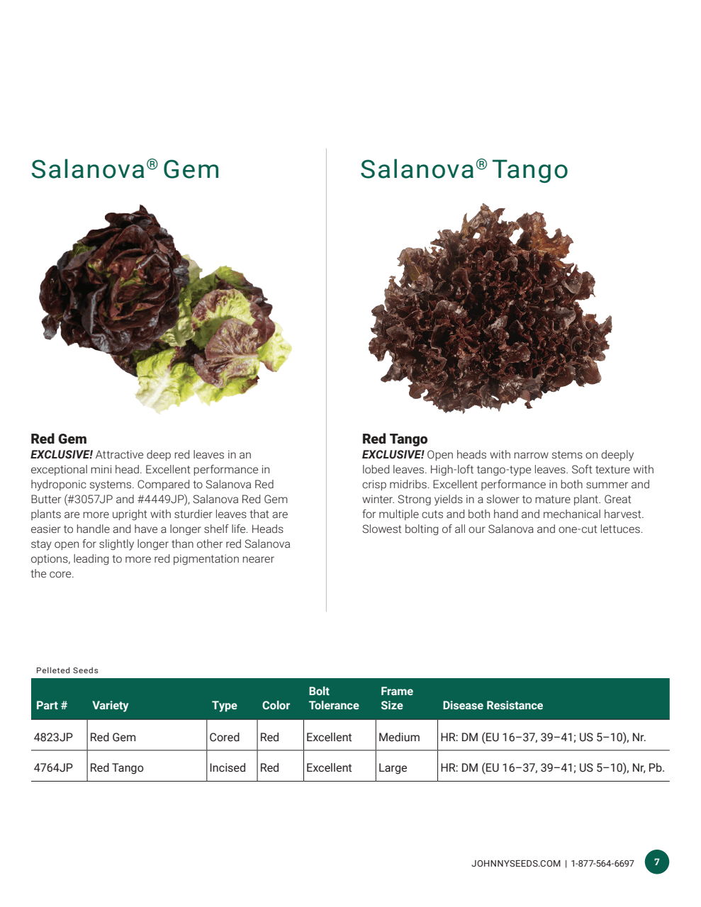 Flyer page 7