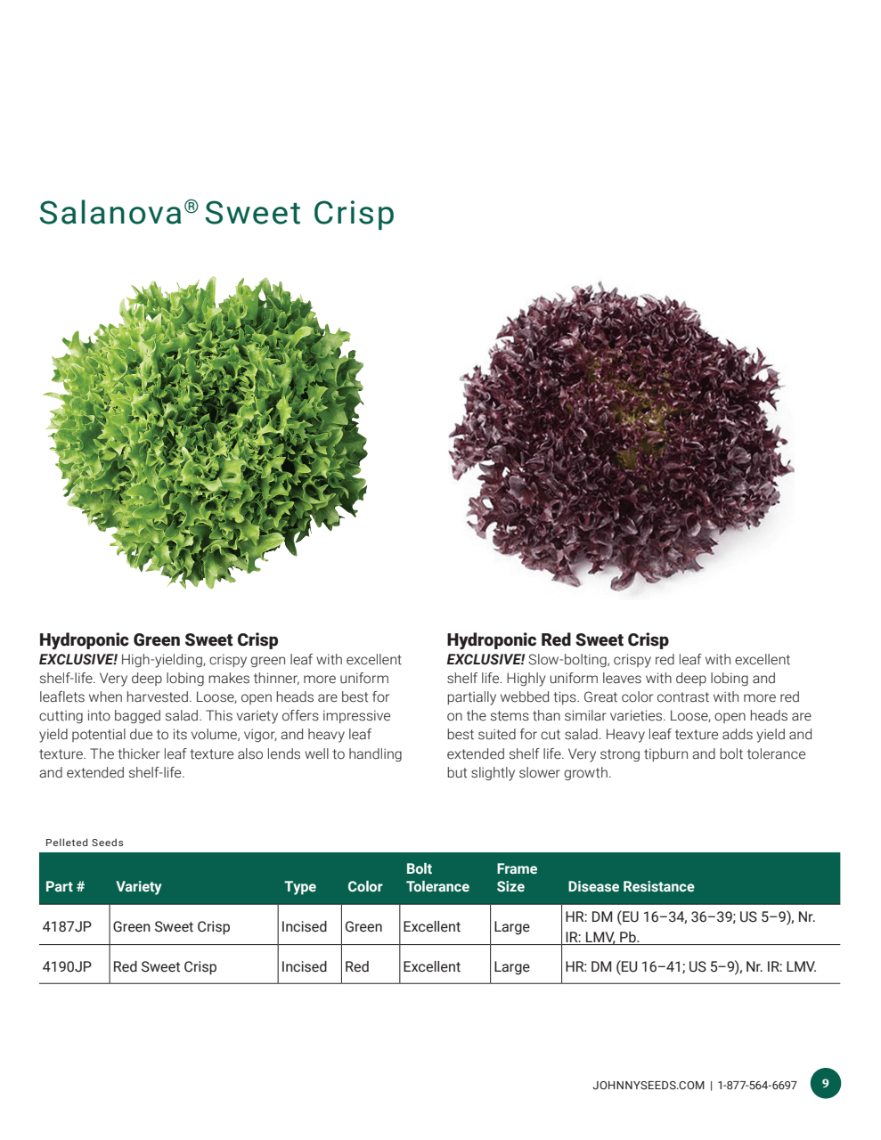 Flyer page 9