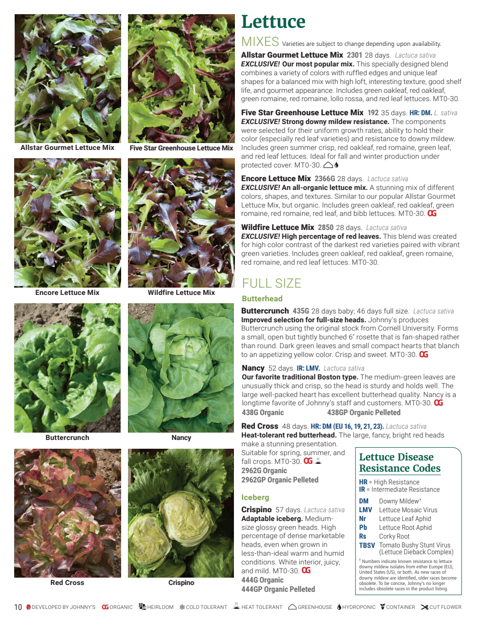 Flyer page 10