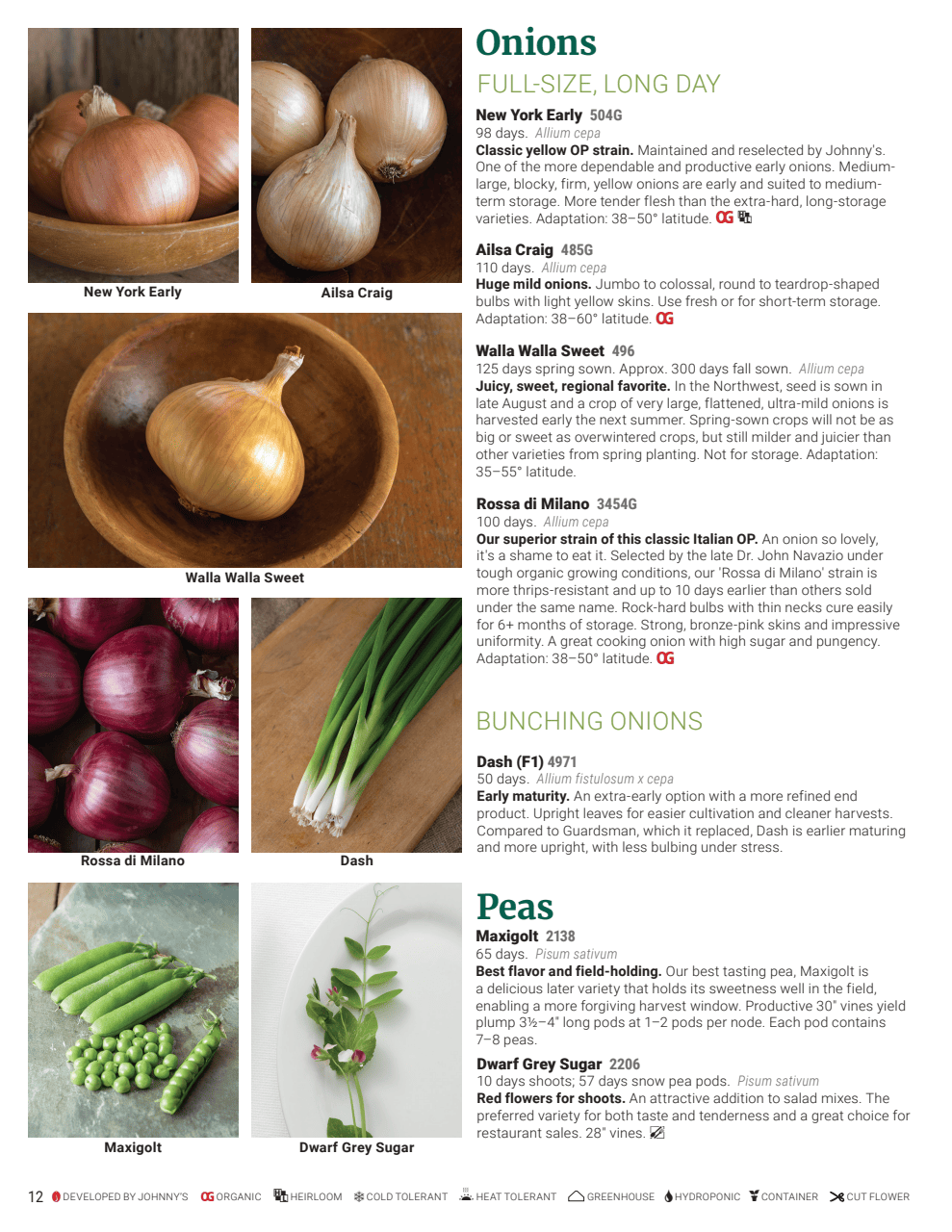 Flyer page 12
