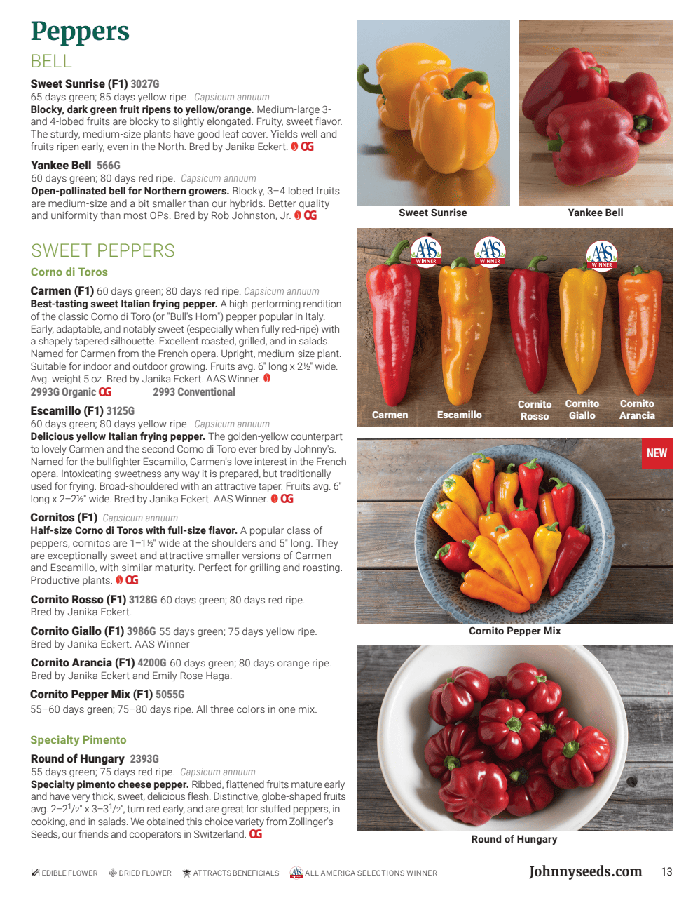 Flyer page 13