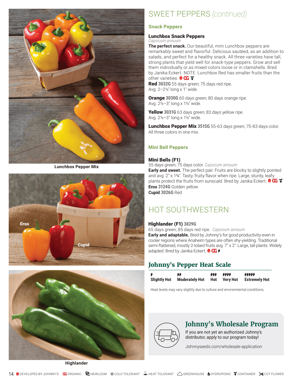 Flyer page 14