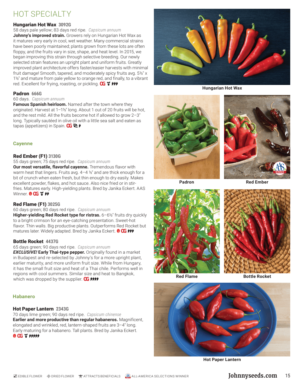 Flyer page 15