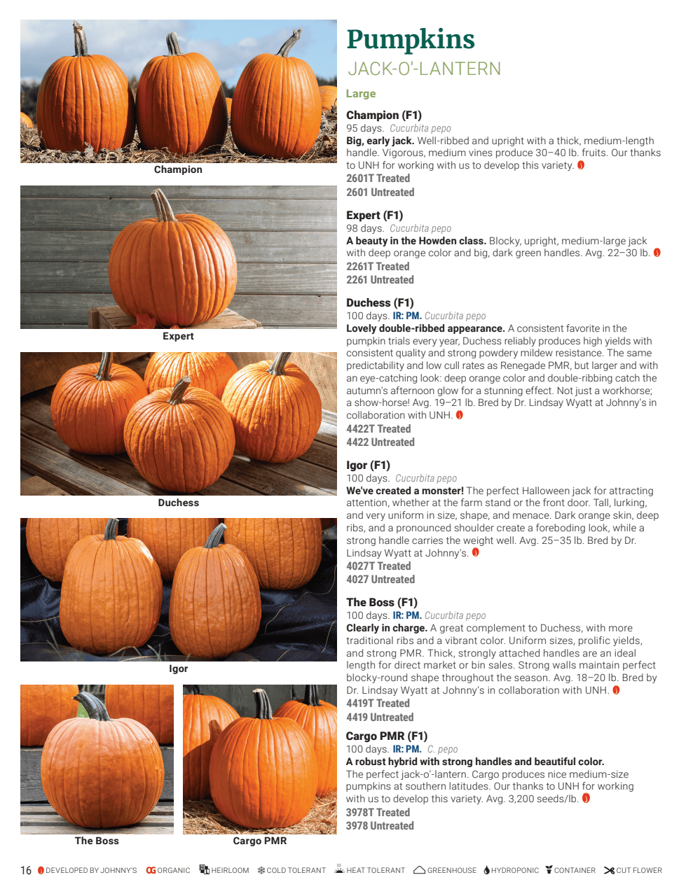 Flyer page 16