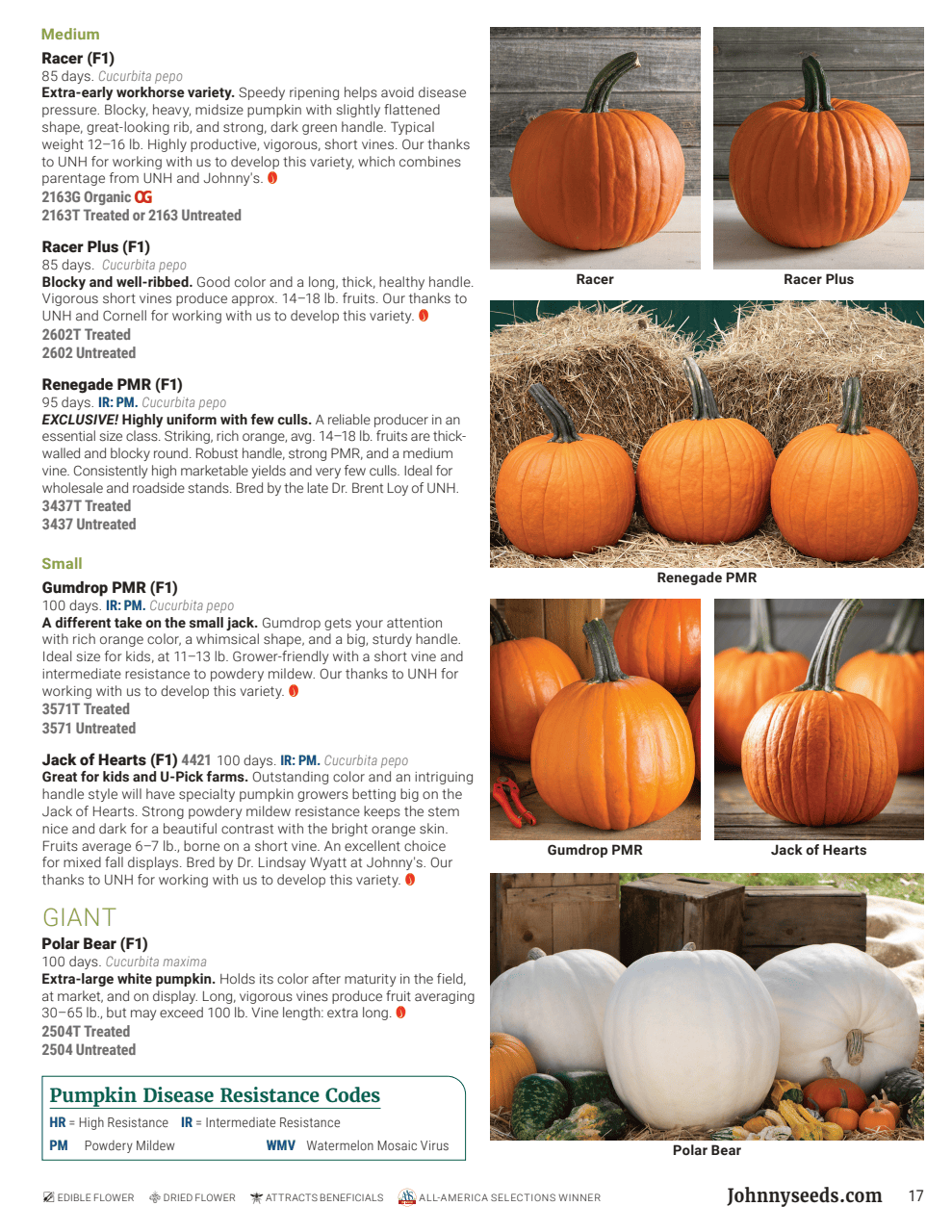 Flyer page 17
