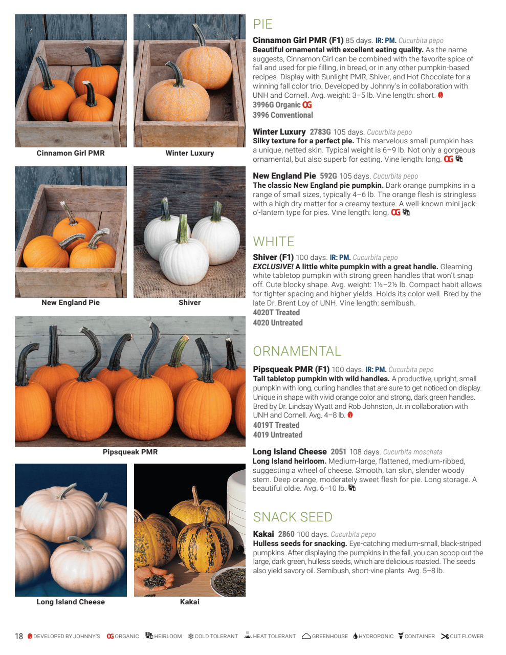 Flyer page 18