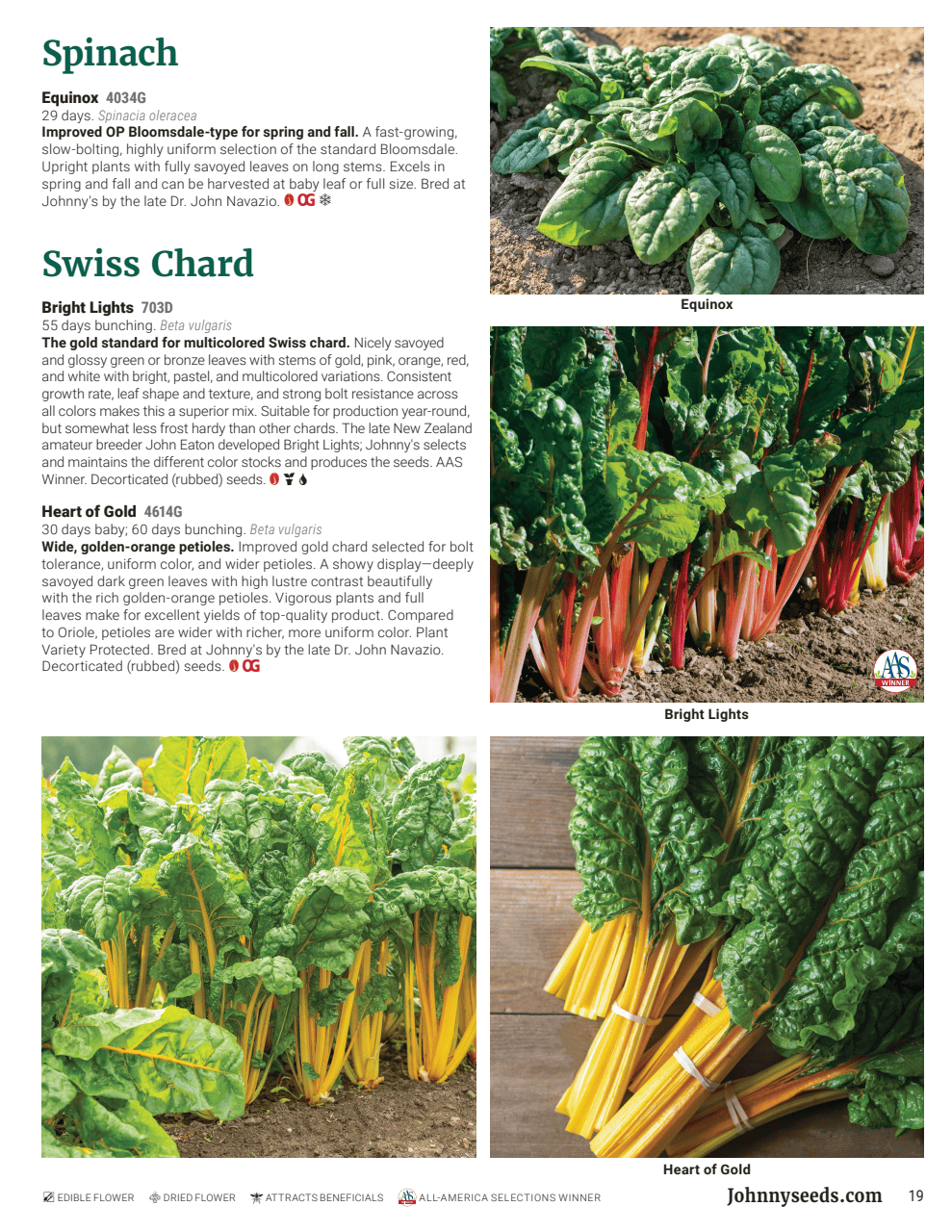 Flyer page 19