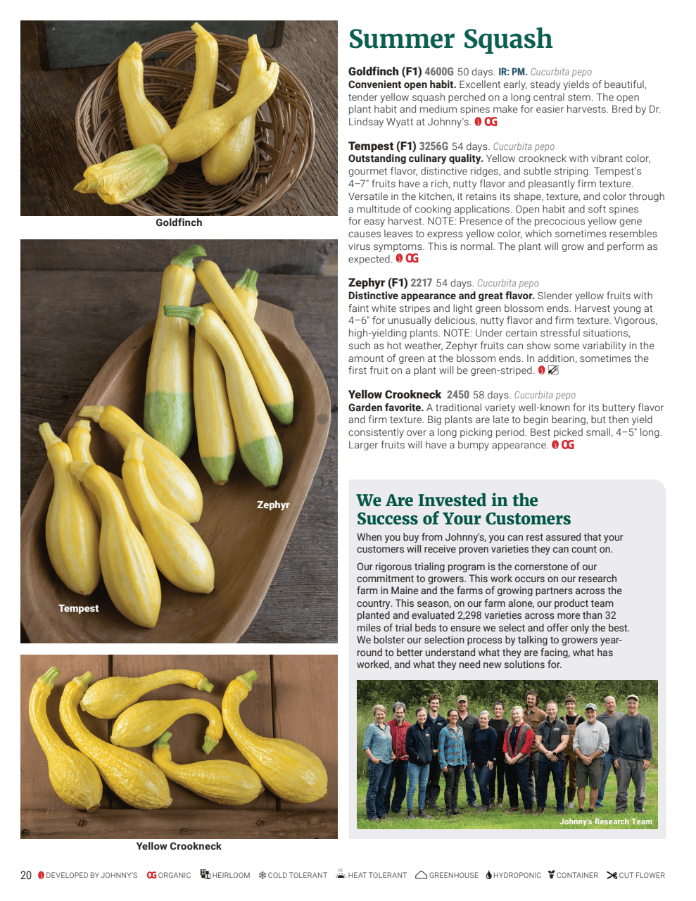 Flyer page 20