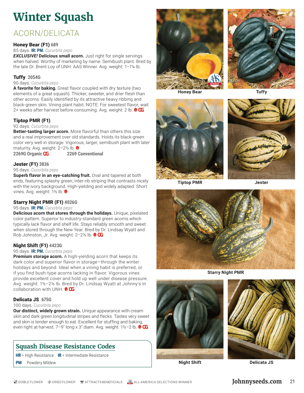 Flyer page 21