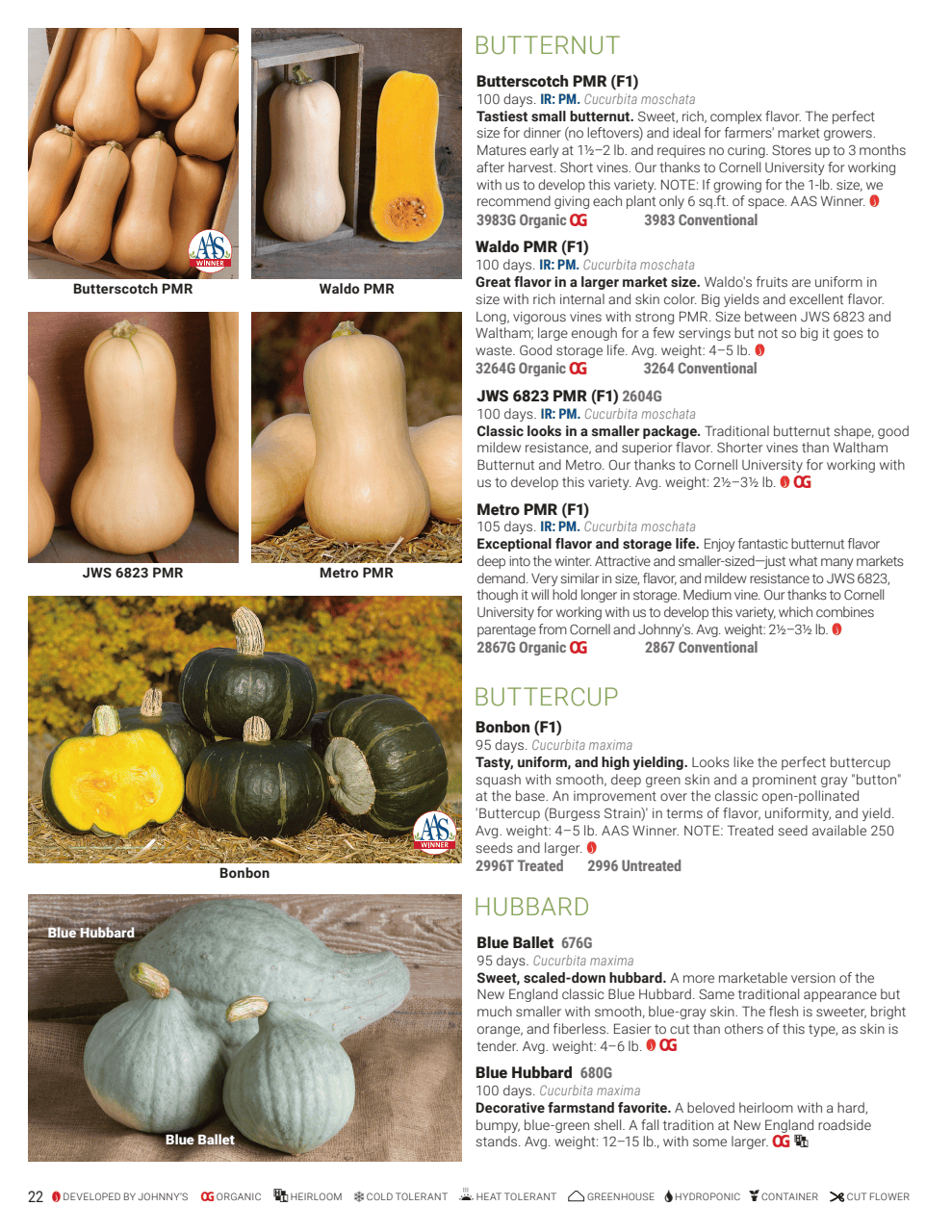 Flyer page 22