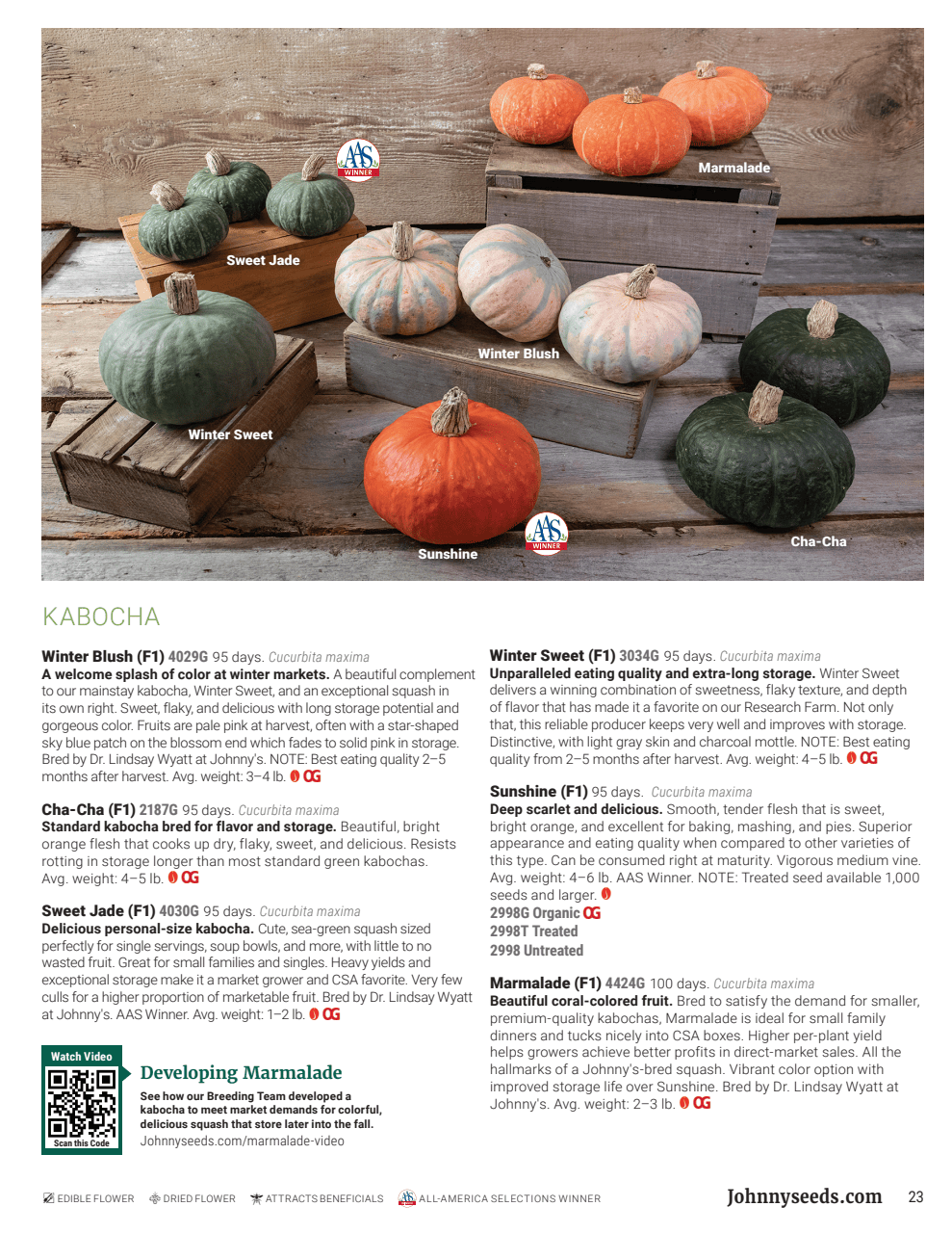 Flyer page 23