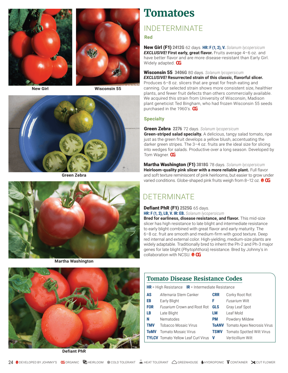 Flyer page 24