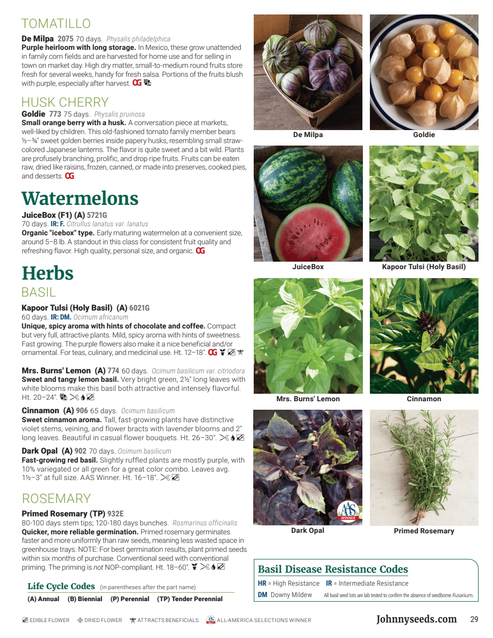 Flyer page 29