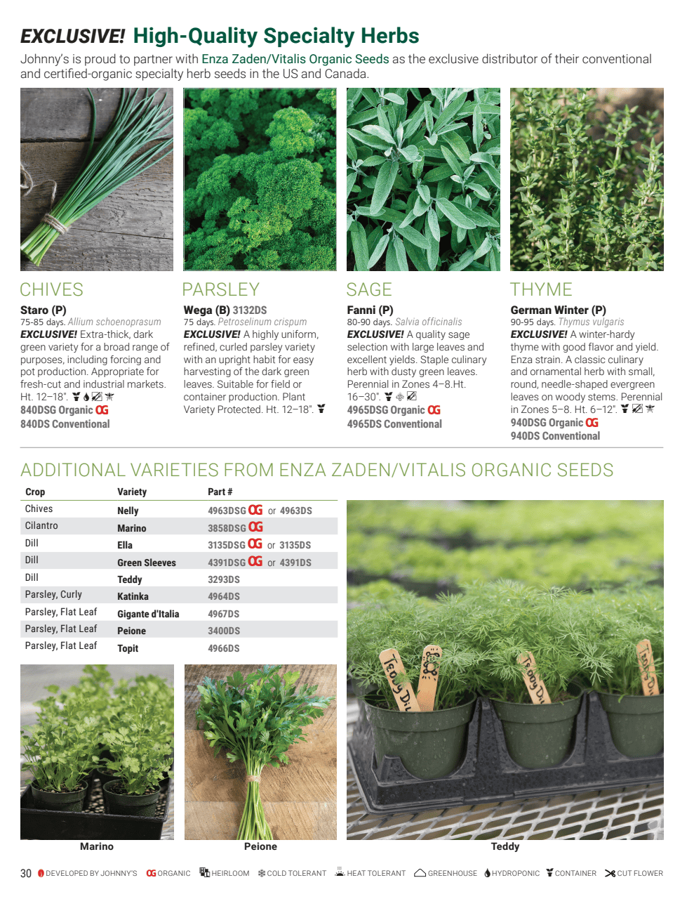 Flyer page 30
