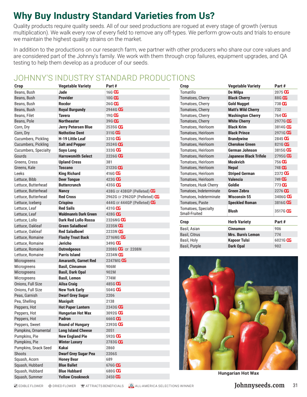 Flyer page 31