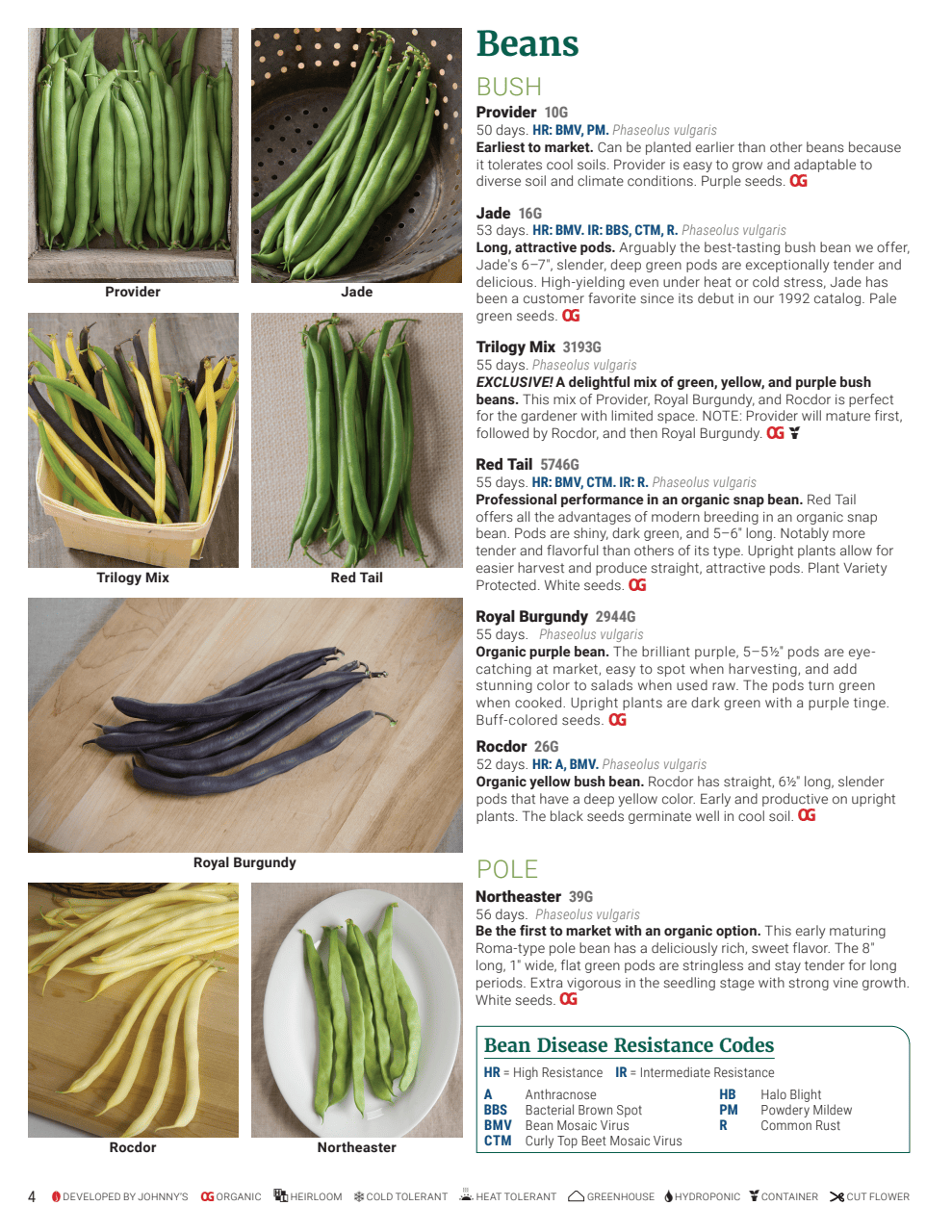 Flyer page 4