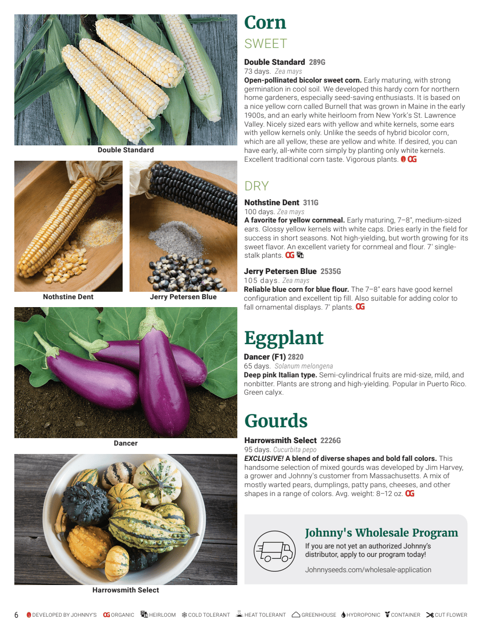 Flyer page 6