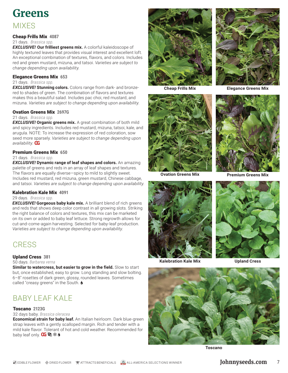 Flyer page 7