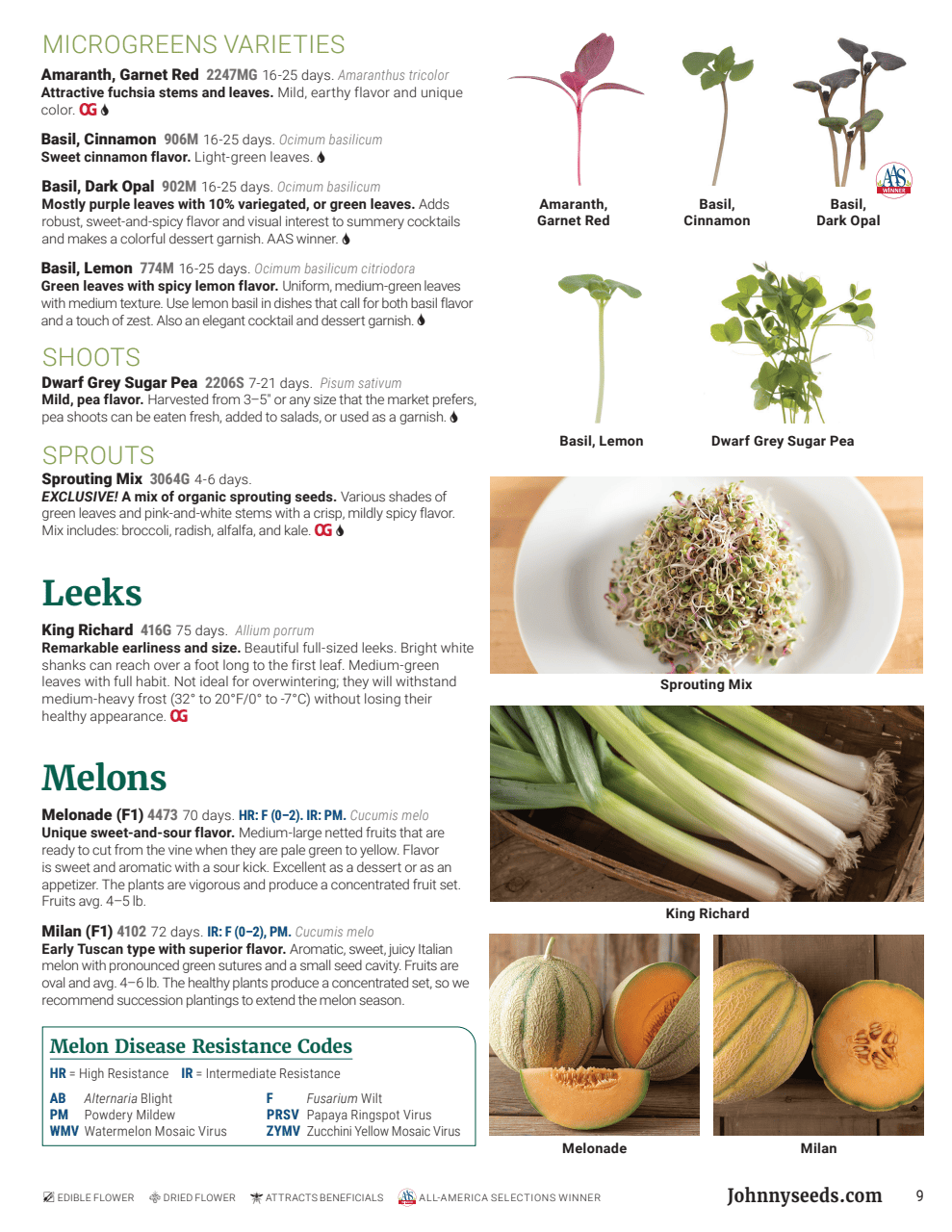 Flyer page 9