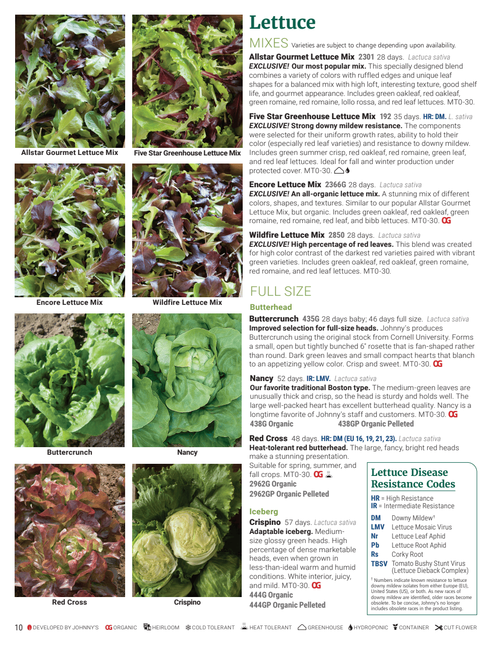 Flyer page 10