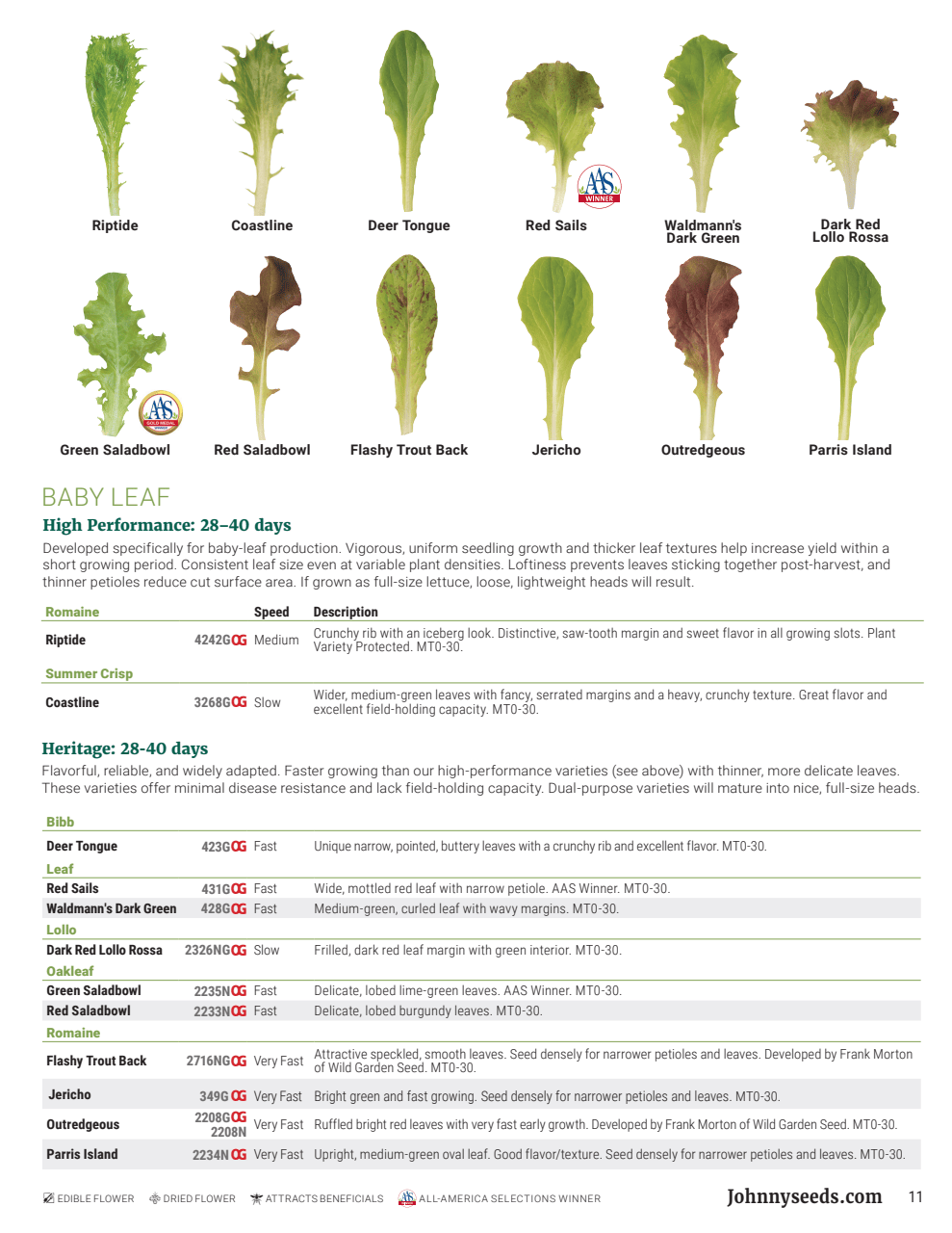 Flyer page 11