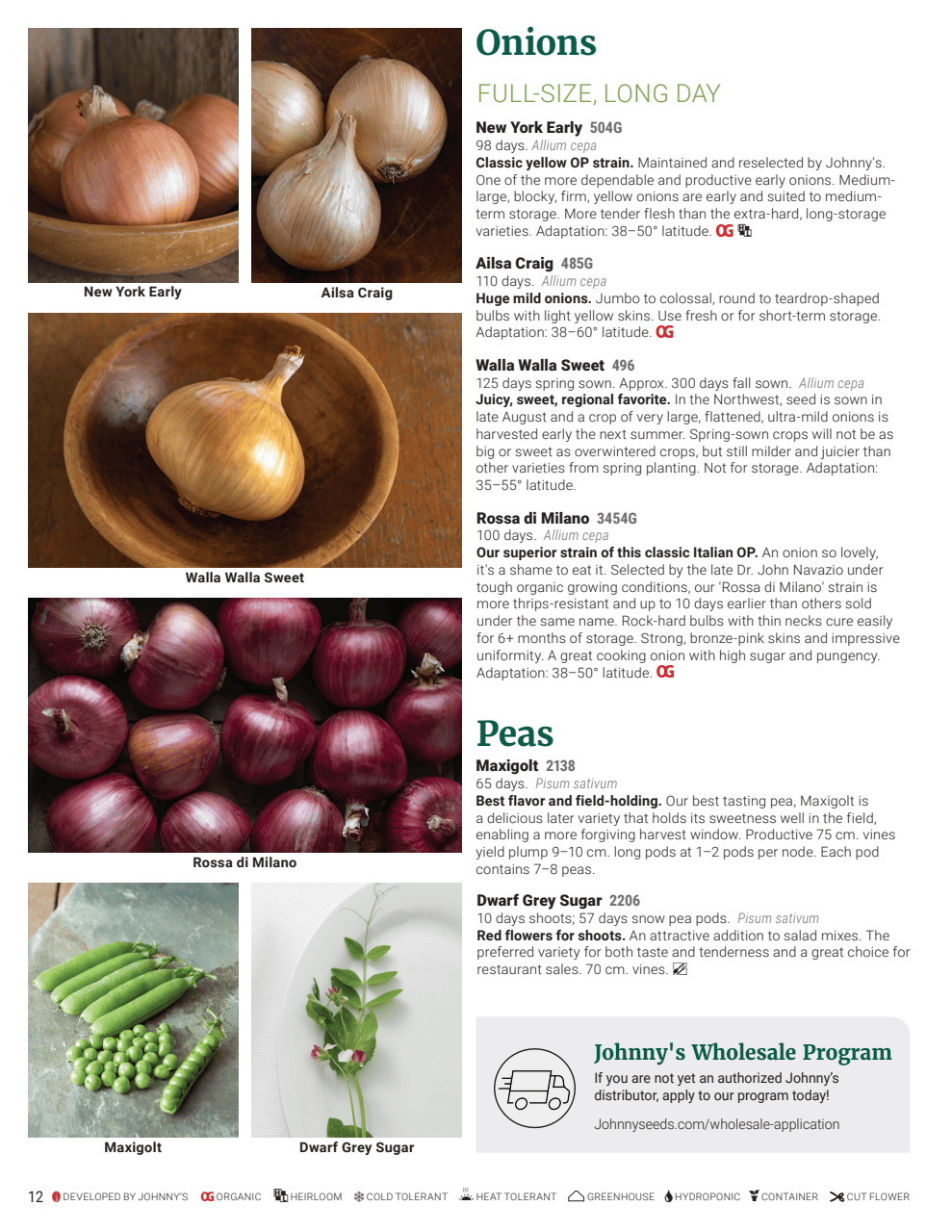 Flyer page 12