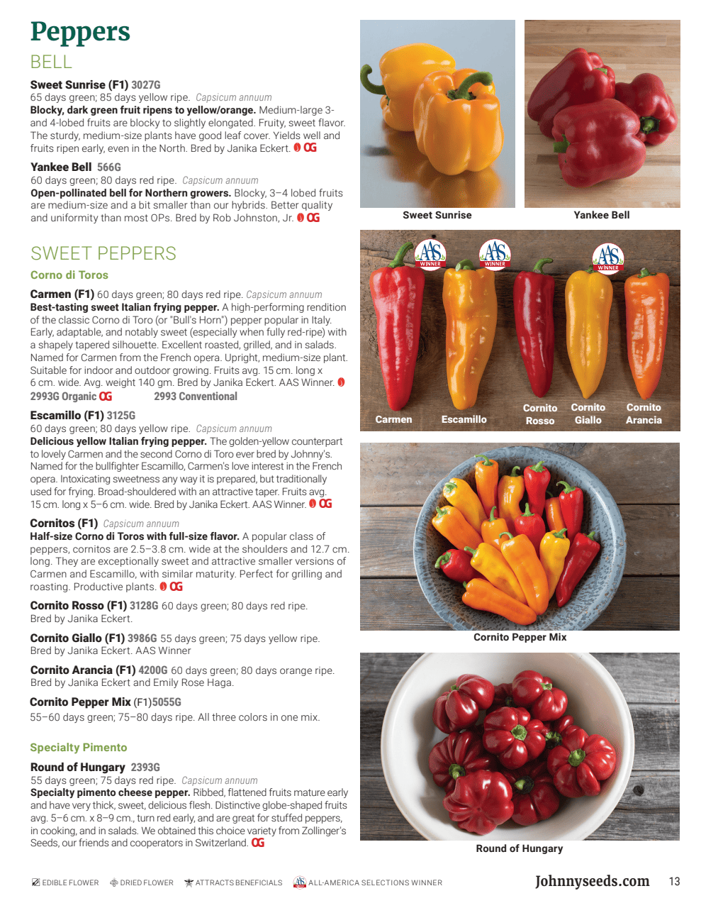Flyer page 13