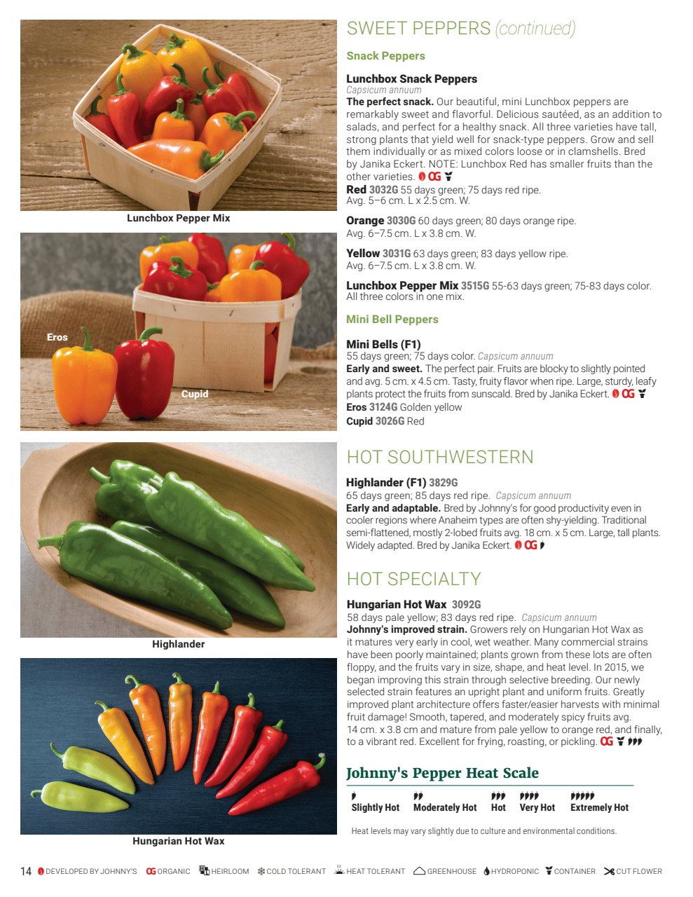 Flyer page 14