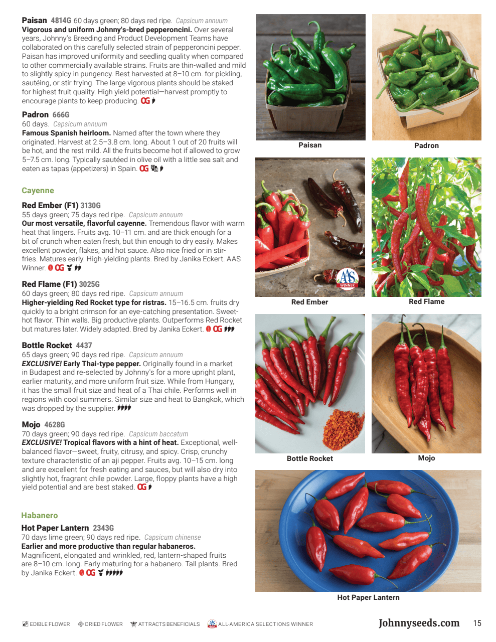 Flyer page 15