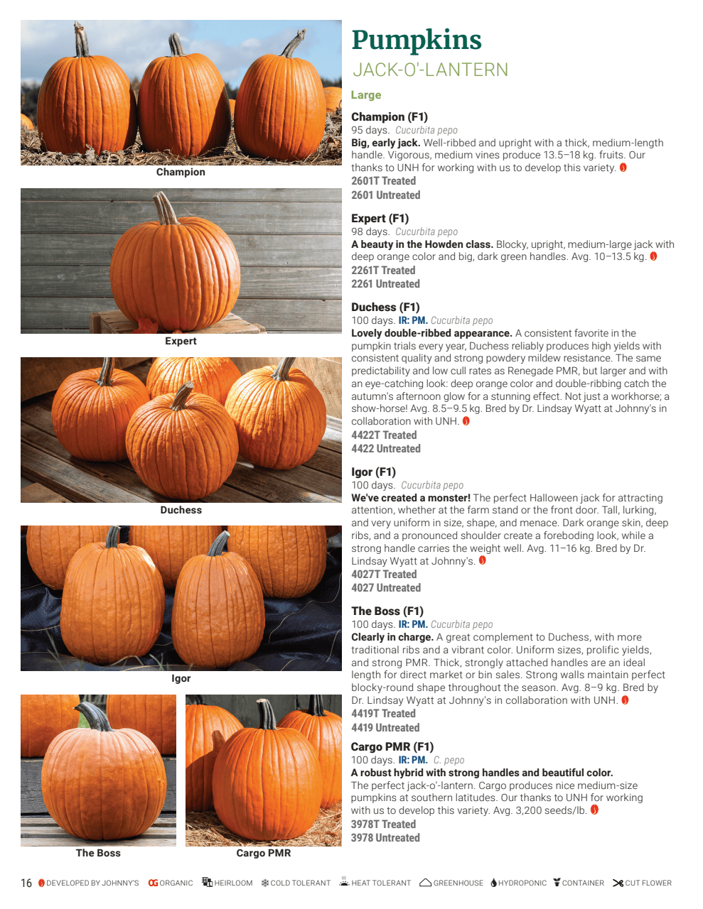Flyer page 16