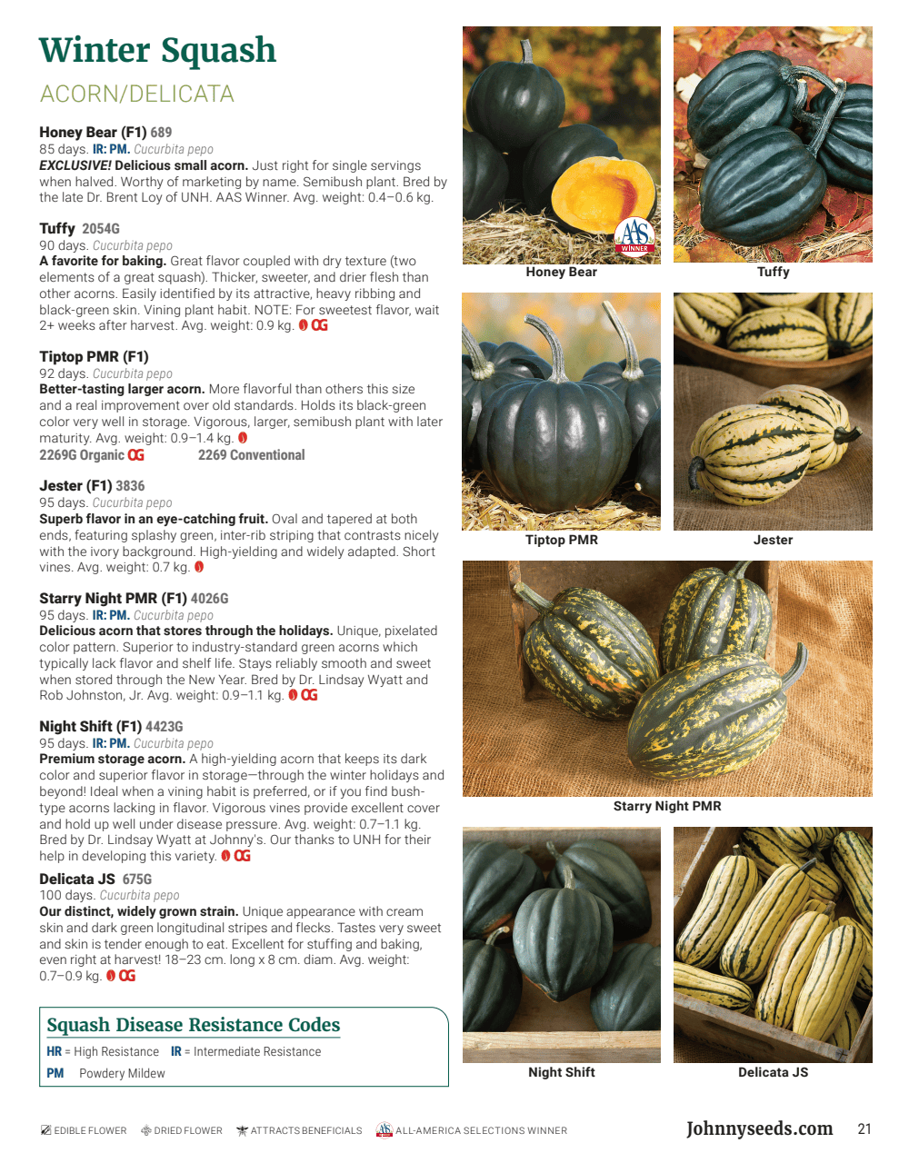 Flyer page 21